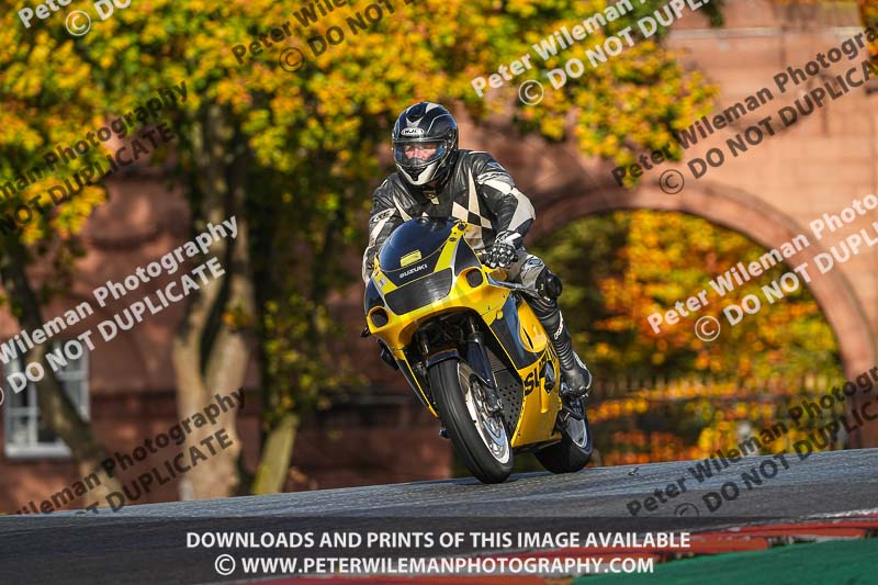 anglesey;brands hatch;cadwell park;croft;donington park;enduro digital images;event digital images;eventdigitalimages;mallory;no limits;oulton park;peter wileman photography;racing digital images;silverstone;snetterton;trackday digital images;trackday photos;vmcc banbury run;welsh 2 day enduro